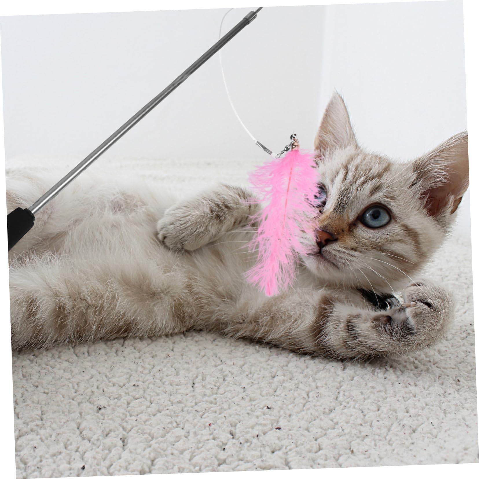 BESPORTBLE 3pièces Canne à Interactive pour Chat avec Jouets De Remplacement Ensemble De Jouets pour Chat Et