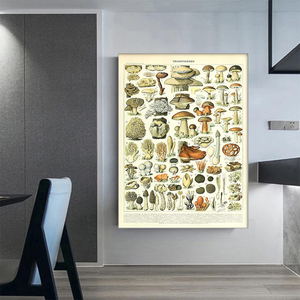 Plaque Métal Vintage Adolphe Millot - Affiche Champignons - 20,3 X 30,5 Cm - Déco Murale Chambre