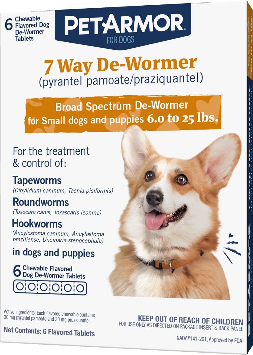 What Does Tapeworm Look Like In Dogs