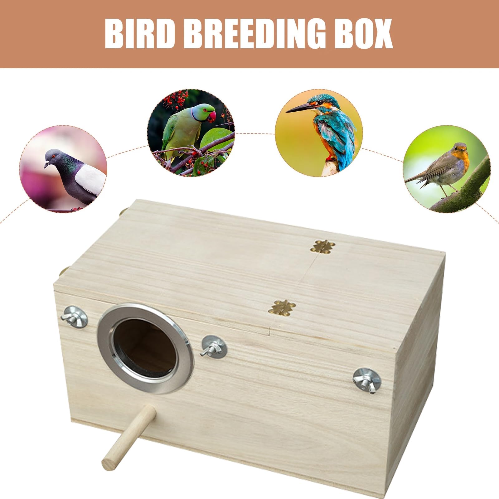 Caja nido para periquitos, agujero izquierdo, pajarera de madera, diseño transparente, nido, cría de aves, para periquitos, loros (12 x 12 x 19,5 cm)