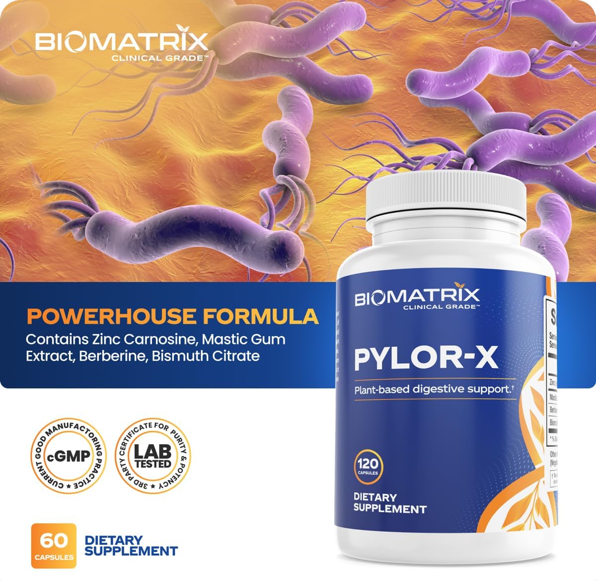BioMatrix Pylor-X Gut Health Supplement – Mastic Gum, Berberine, Zinc Carnosine & Bismuth Salts for Gastric Support, Digestive Comfort, Stomach Lining Protection - (120 Capsules) 30-60 Day Supply - Image 4