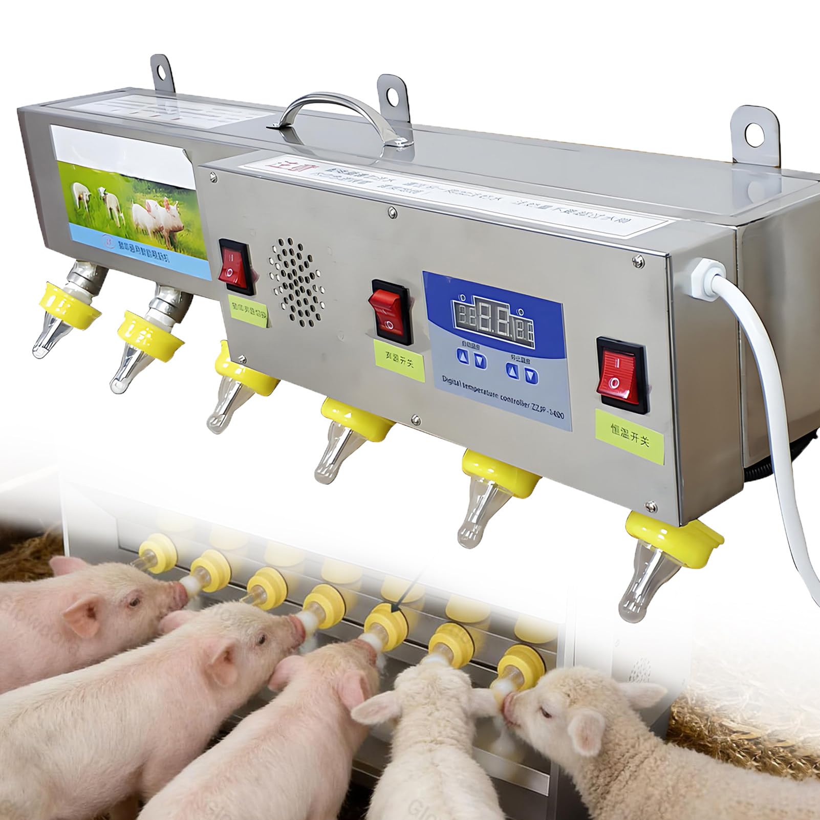 Alimentador automático de lechones de acero inoxidable para comederos de porcino en granja