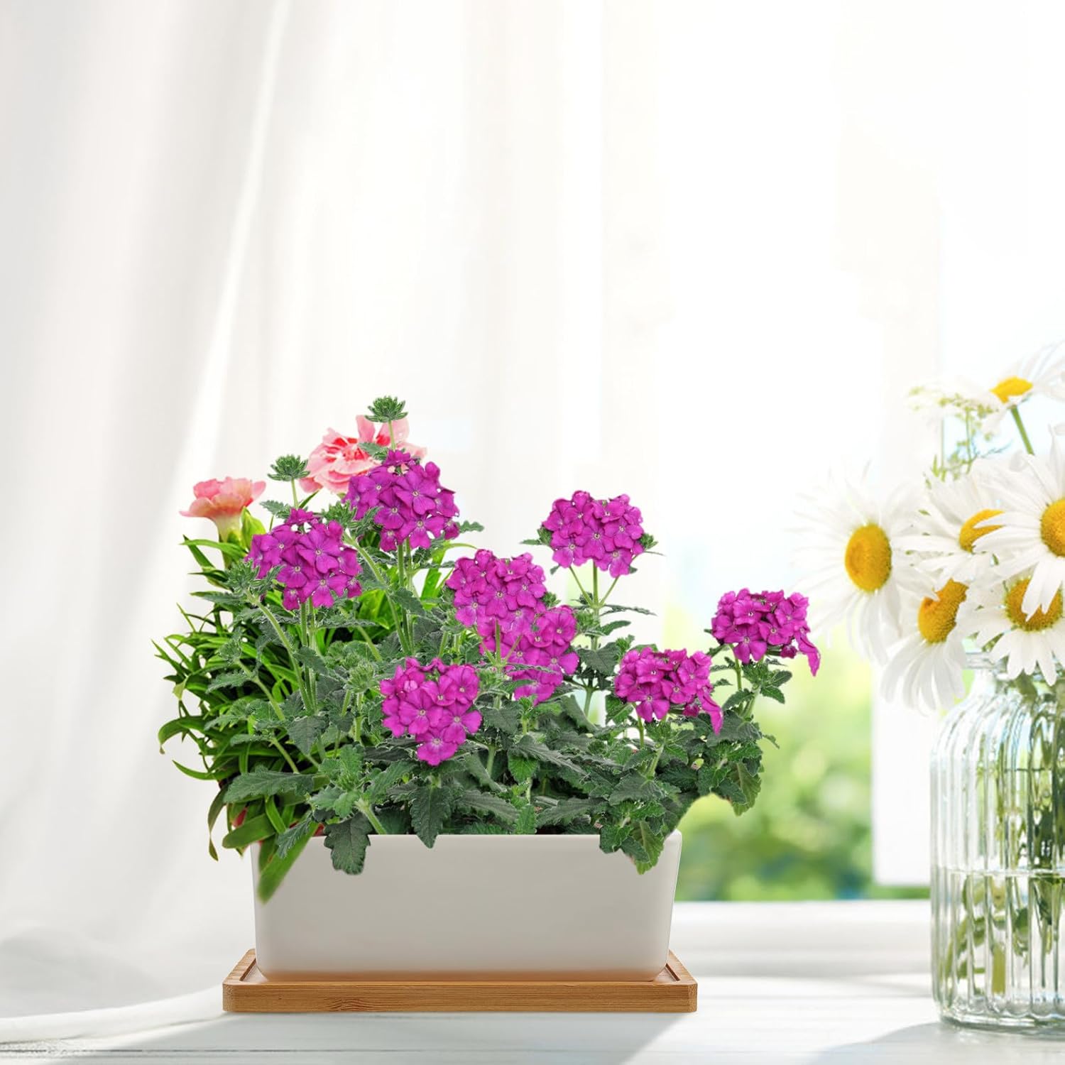 Succulent Ceramic Flower Pot Set with Tray, Rectangular White Porcelain Planters with Base, Indoor Desktop Planter for Home and Office Decoration