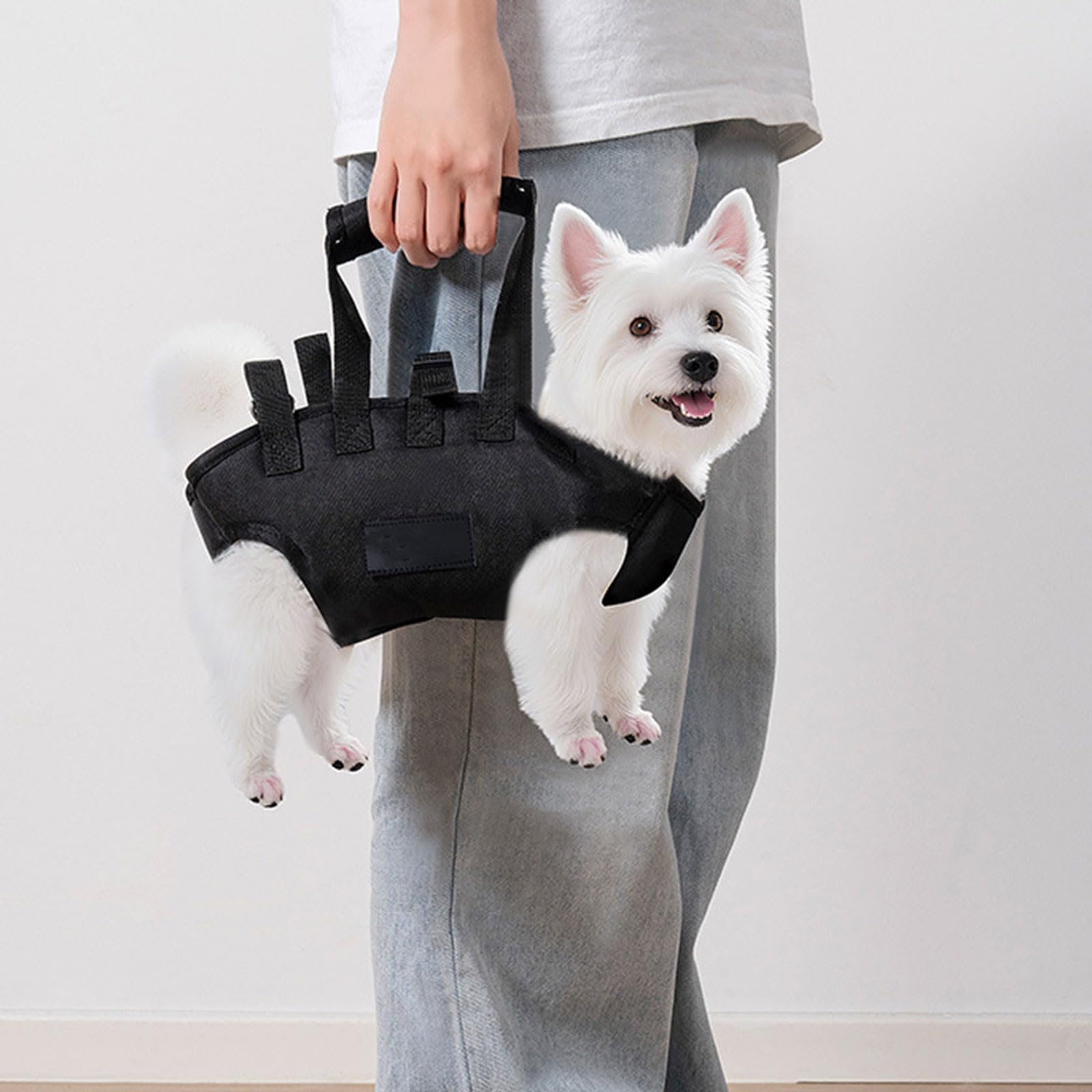 XAGMODSHN Transportador convertible para mascotas, perros, gatos, correa de hombro ajustable, bolsa de mano, bolsa de mano, uso diario