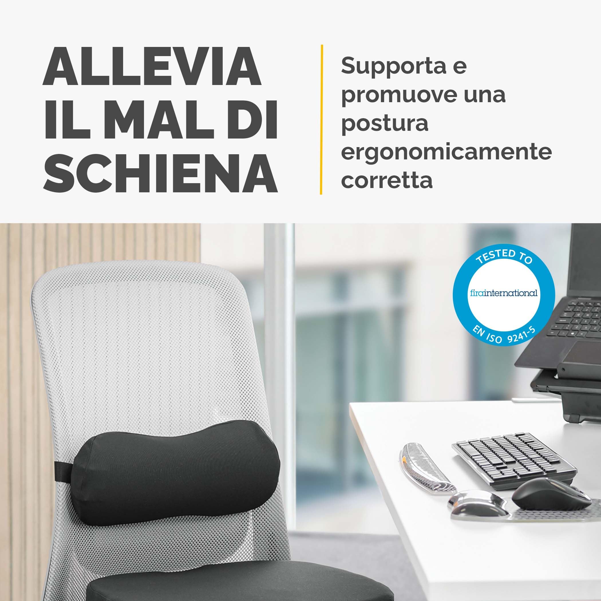 Fellowes Cuscino lombare Breyta - Supporto ergonomico per la schiena, cinghia regolabile, compatto e portatile, da materiale riciclato, garanzia di 5 anni, ideale per l'ufficio e la casa