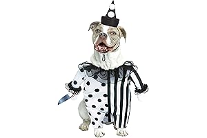 Killer Clown Costume for Your Precious Buddy