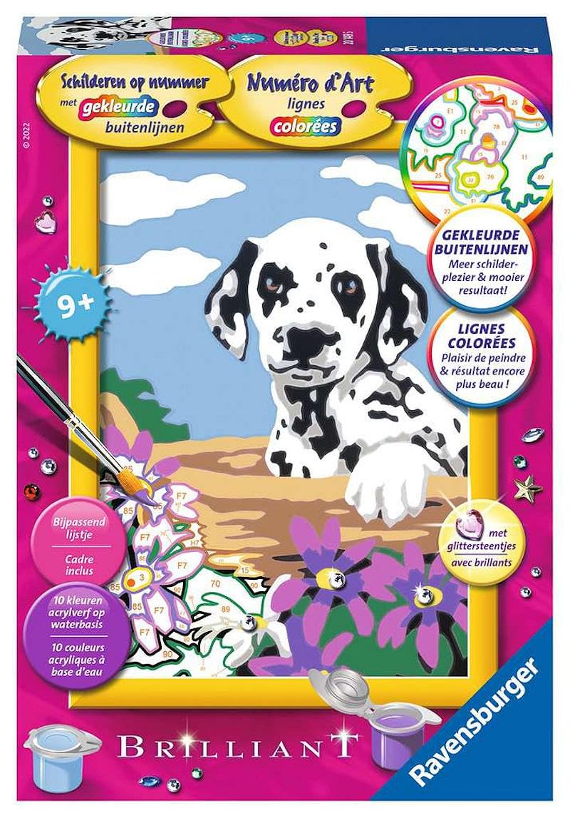 Ravensburger - Painting by Numbers - Dalmatian Puppy 201495