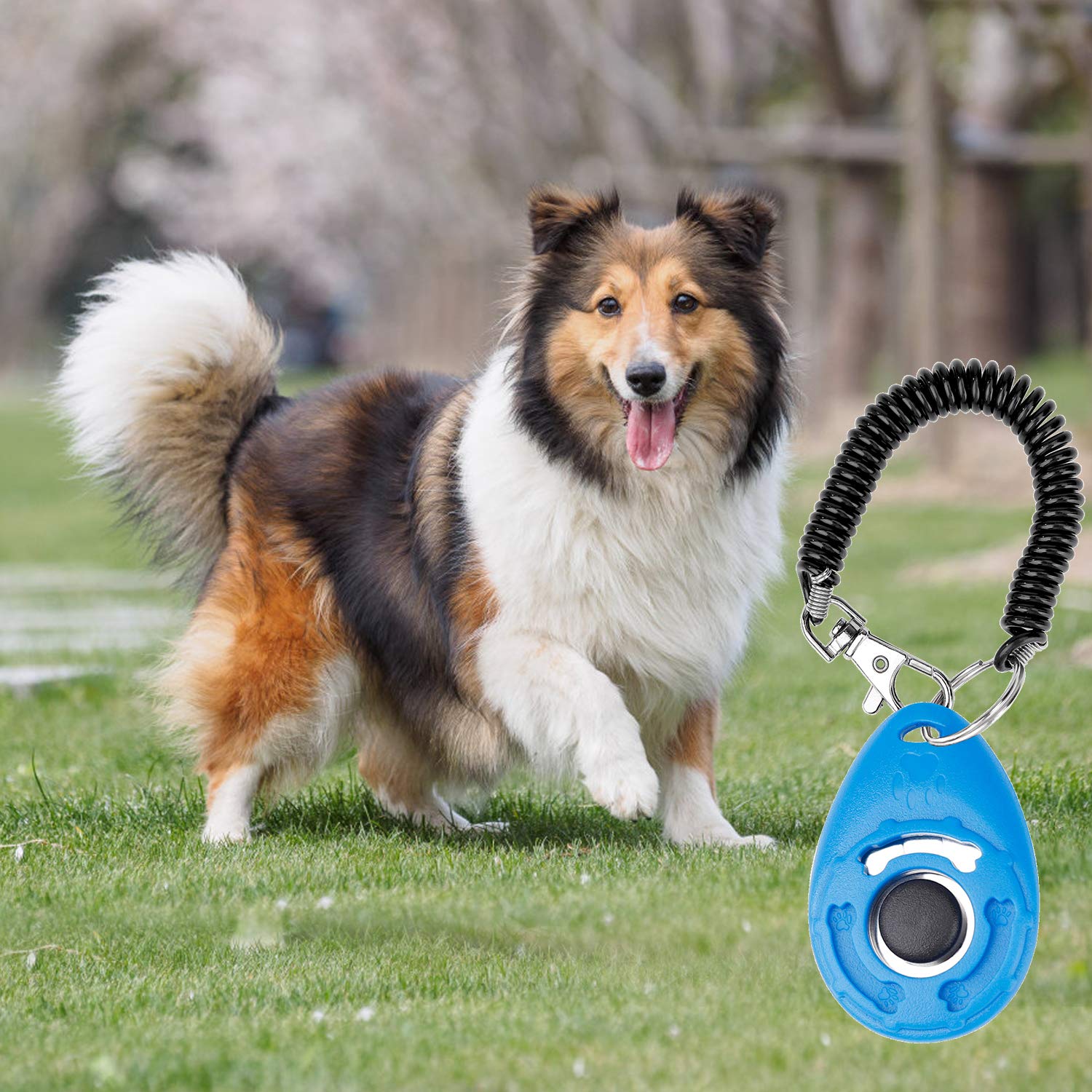 MaoXinTek Clicker per Cani Fischietto Con Cinturino Per l’Addestramento Del Proprio Cane, 4 Pezzi Animale Domestico Clickers Addestrare Il Tuo Amico Cuccioli Gatti Uccelli, Pulsante Clicker