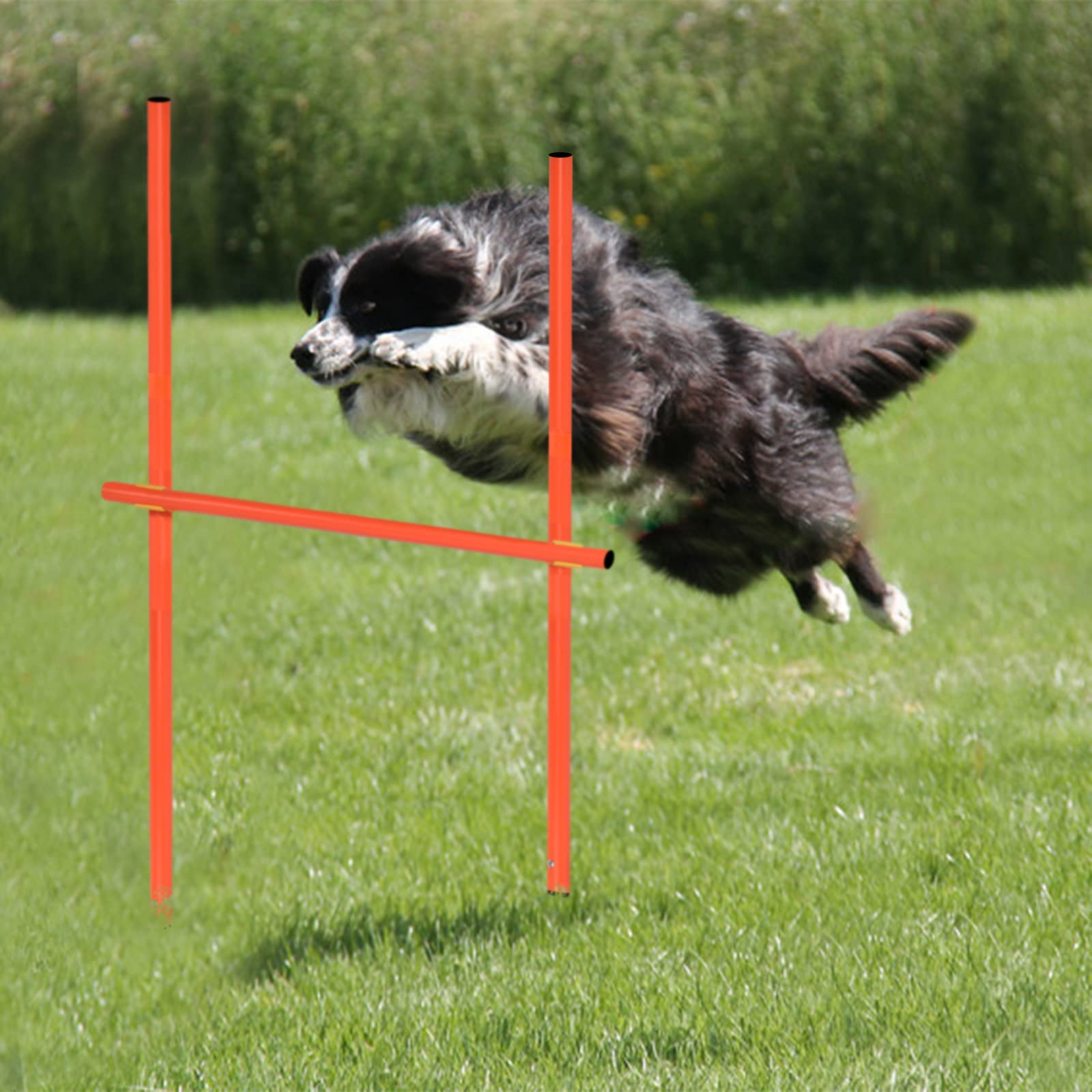 SUBTLETY Agility Ausrüstung für Hunde Groß Klein Hundetraining Spiele Agility Set mit Hundetunnel, Hürden, Slalomstangen, Springring, Pausenfeld und Tragetasche Hundeparcour Zubehör