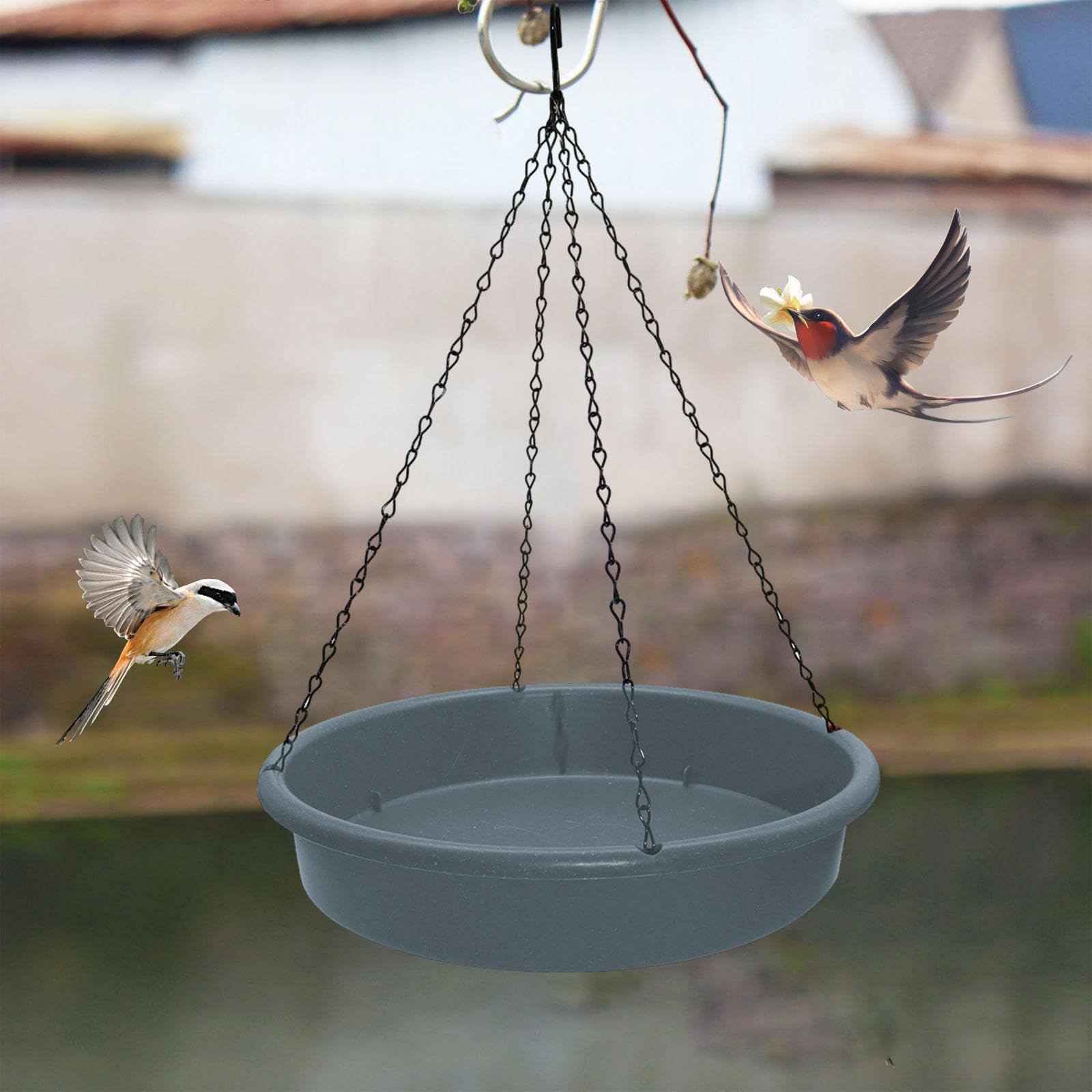 Mangeoire à Oiseaux, Abreuvoir, Bain d'oiseaux Suspendu Stable pour