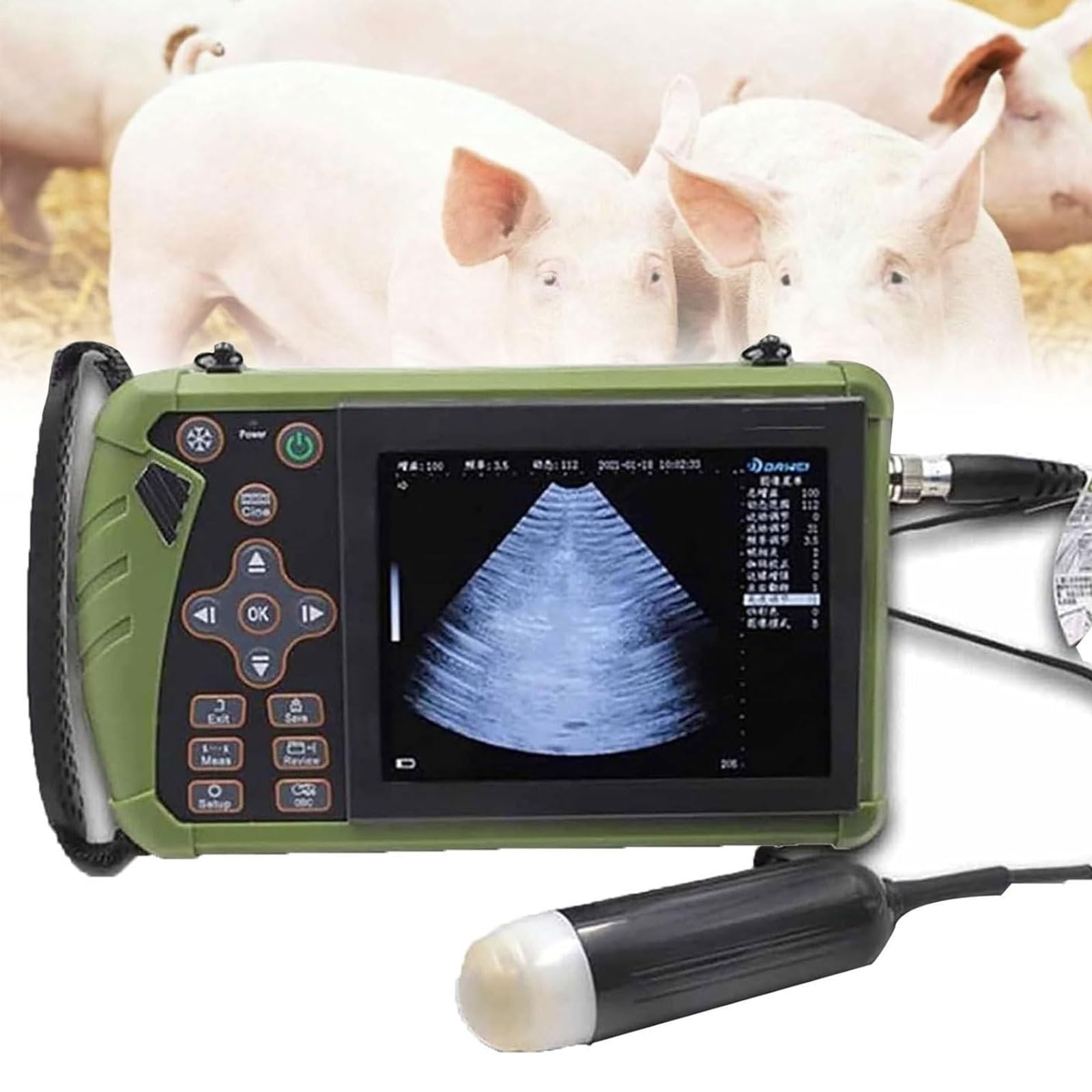 Kit D'éChographie VéTéRinaire ÉChographe B Portable Pour Animaux Avec Sonde MéCanique 3,5 MHz Echographie Appareil Grossesse Multifonction Pour Porcs, Moutons(Convex Array Probe)