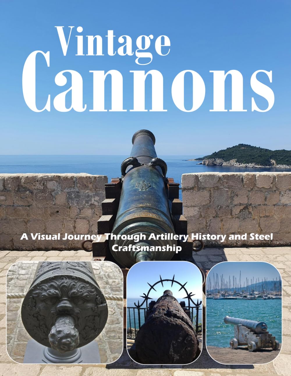 Vintage Cannons: A visual journey through historic artillery and military heritage