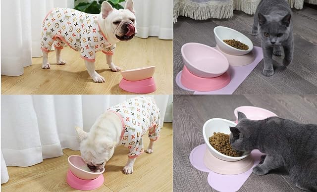 Foto 5 de 6 de Petdoer Cuenco de Comida para Bulldog francés, Cuenco Inclinado Inclinado para Agua y Comida de Carlino