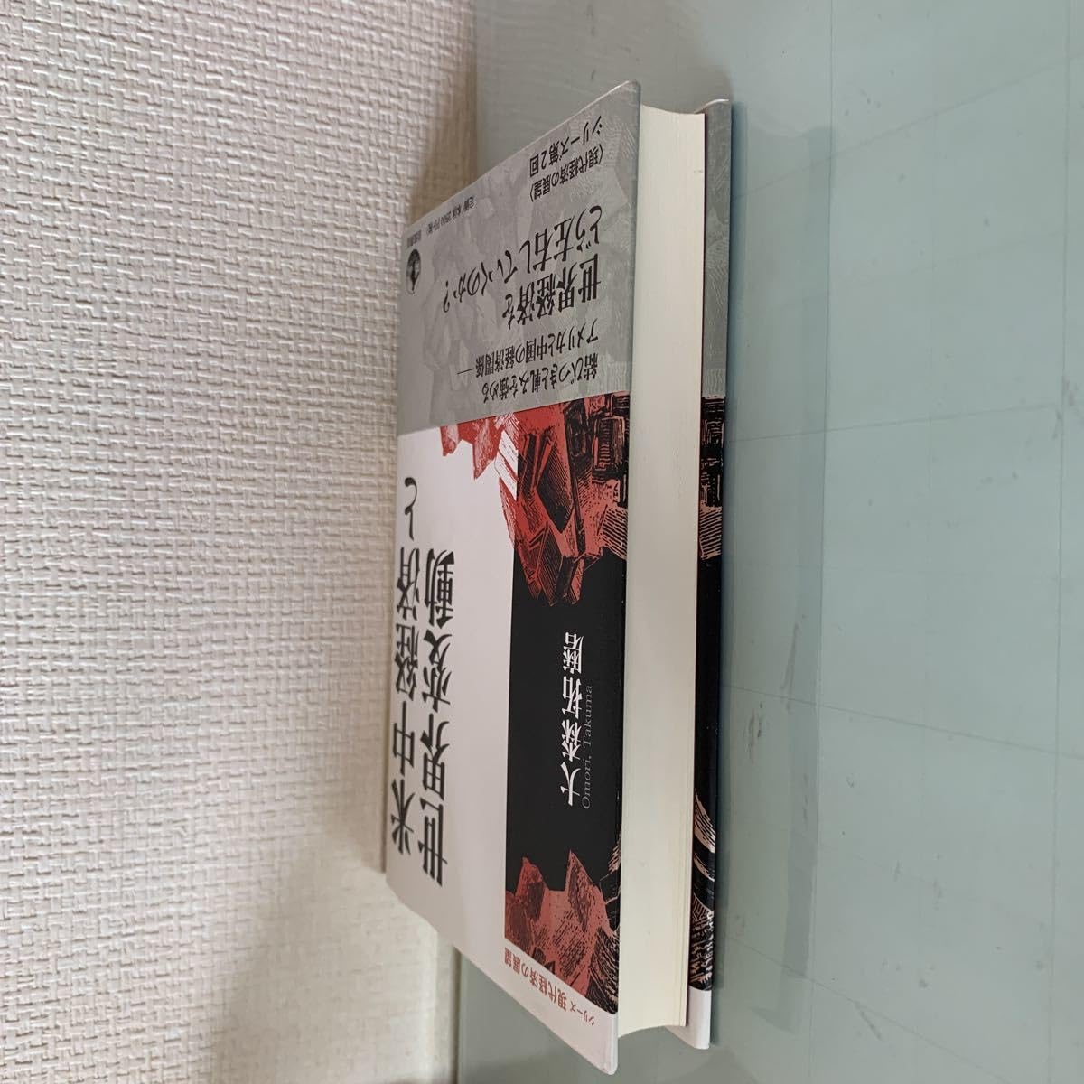 Amazon.co.jp: 米中経済と世界変動 (シリーズ 現代経済の展望) 単行本 大森拓磨(著者) 2014/8/29 : おもちゃ