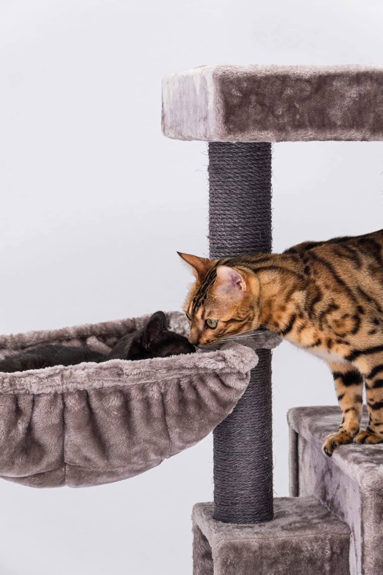 Petrebels Kratzbaum Stabil für mehrere Katzen, Cleopatra 134 cm, Cappuccino | mit dicke Bodenplatte, Ø 9 cm Stämme, waschbaren Kissen, Hängematte, Höhle & Loungesofa, auch ideal für Senioren und Kätzchen
