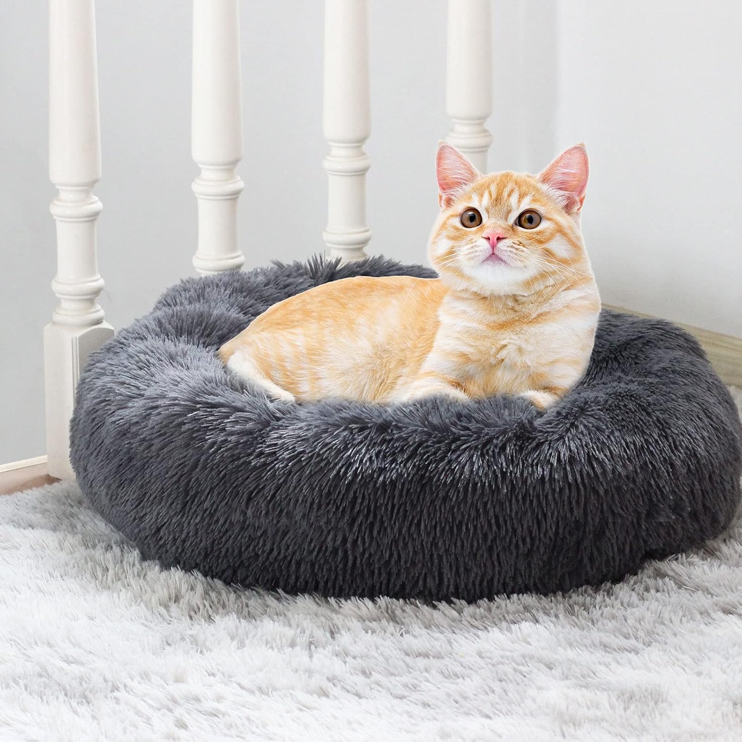 See full amazon price history chart for ZEXSAZONE The Round Donut pet Bed is Perfect for Indoor Dogs Bed Pet Bed | Dog Bed | Cat Bed | Puppies Puppy Bed | Rabbit Bed (Small) and Puppies Winter, Summe ZEXSAZONE The Round Donut pet Bed is Perfect for Indoor Dogs Bed Pet Bed | Dog Bed | Cat Bed | Puppies Puppy Bed | Rabbit Bed (Small) and Puppies Winter, Summe (B0BWNK5PZ7) Amazon Price History, Amazon Price Tracker