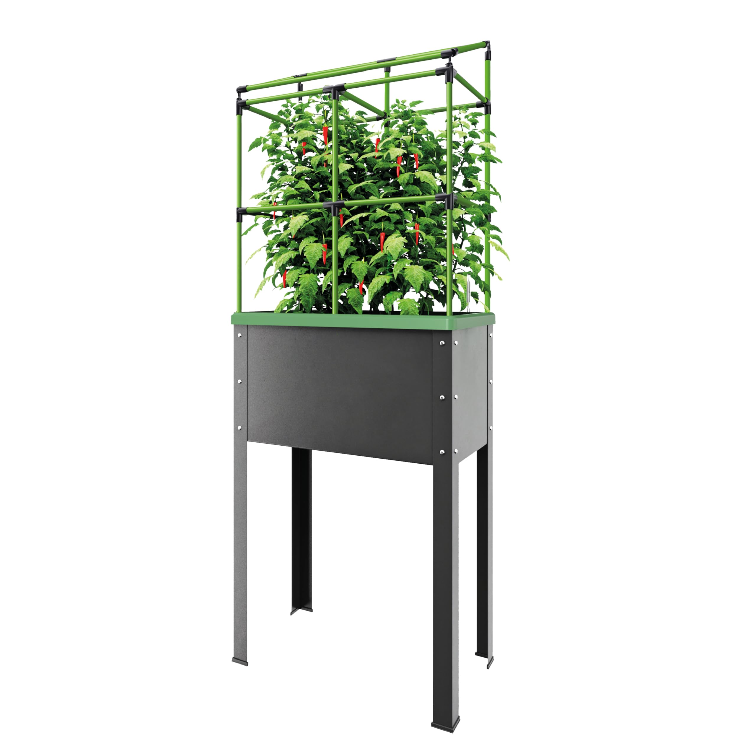 Bio Green JGL-HDB-L City Jungle Heidelberg - Vaso elevato, autoirrigante