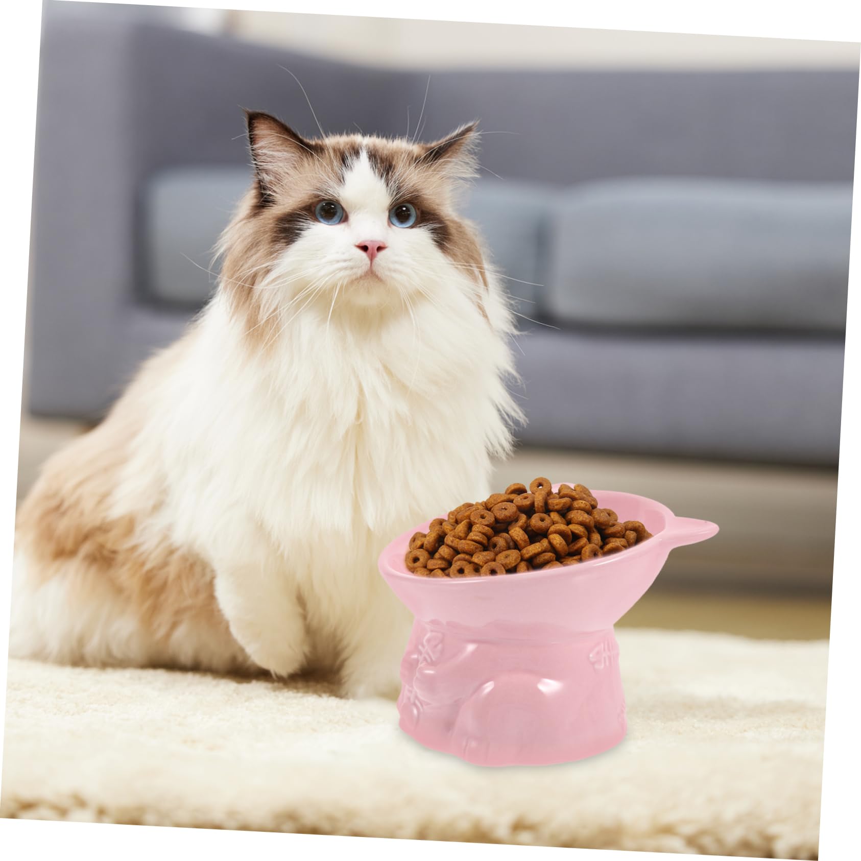 VICASKY Erhöhter Katzennapf aus Keramik mit Einzigartiger Form Leicht zu Reinigen und Bissfest zum Füttern und Trinken für Katzen und Haustiere