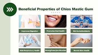 Chios Mastiha Tears Gum Greek 100% Natural Mastic Packs From Mastic Growers Fresh (20gr Medium Tears)