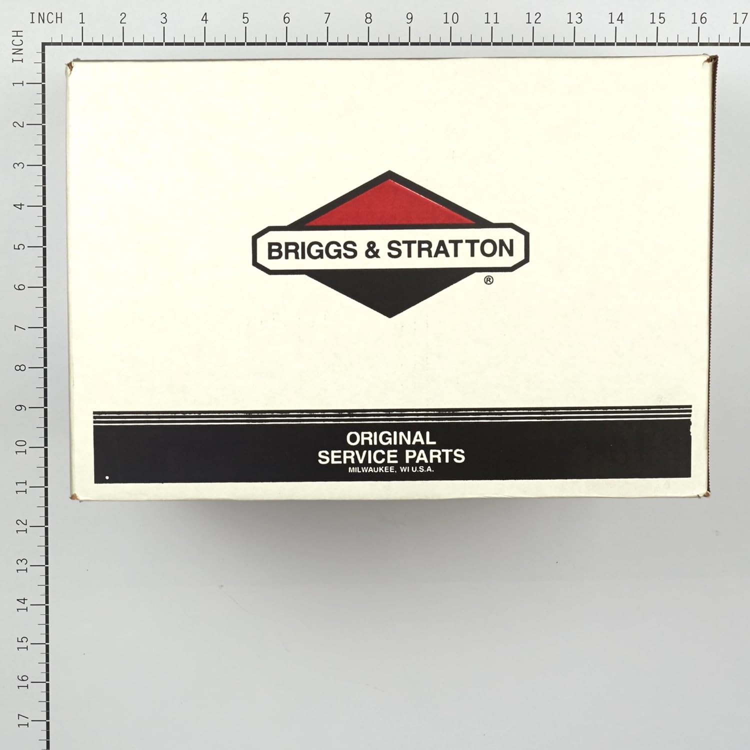 Briggs & Stratton 311966GS Pump