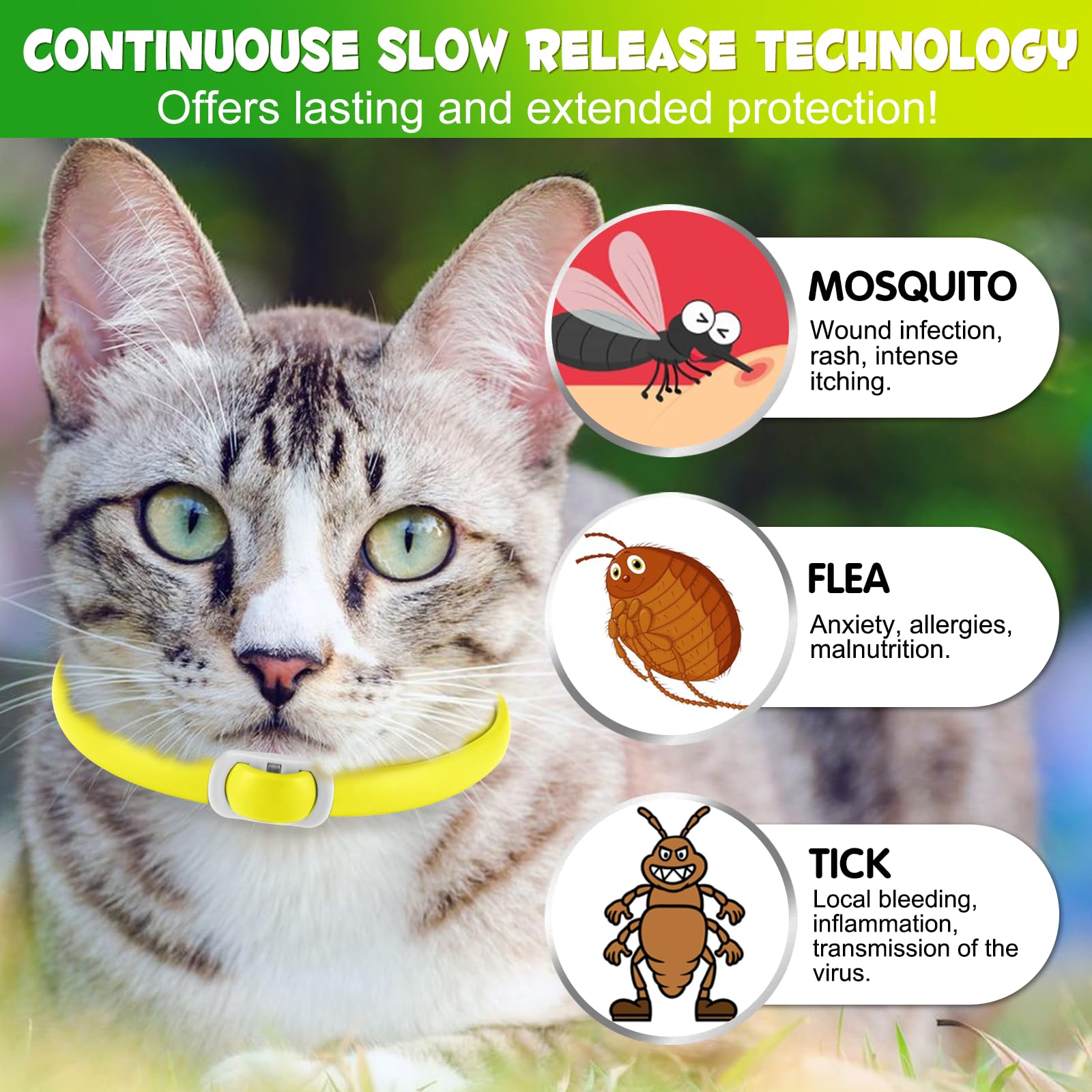 Collare Di Zecca Per Gatti, Collare Di 4Pack Per Gatti Con, Sicuro Ed Efficace Per Il Controllo Delle Pulci E Zecche, Design Impermeabile E Rimovibile, Protezione Di 24 Mesi Per Tutti I Gatti