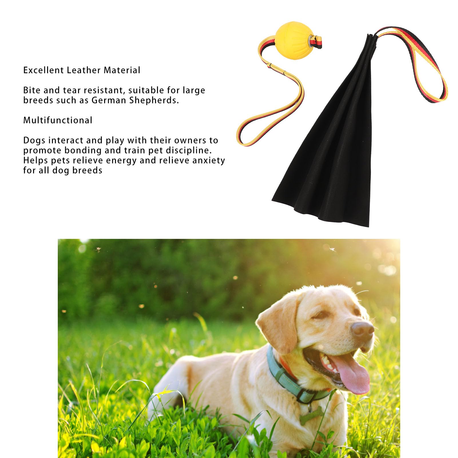 SUNFECILI Hochwertiges Hundespielzeug aus Leder | Langlebige, Reifeste  Trainingshilfe fr Groe Rassen und Hundedisziplin : Amazon.de: Haustier