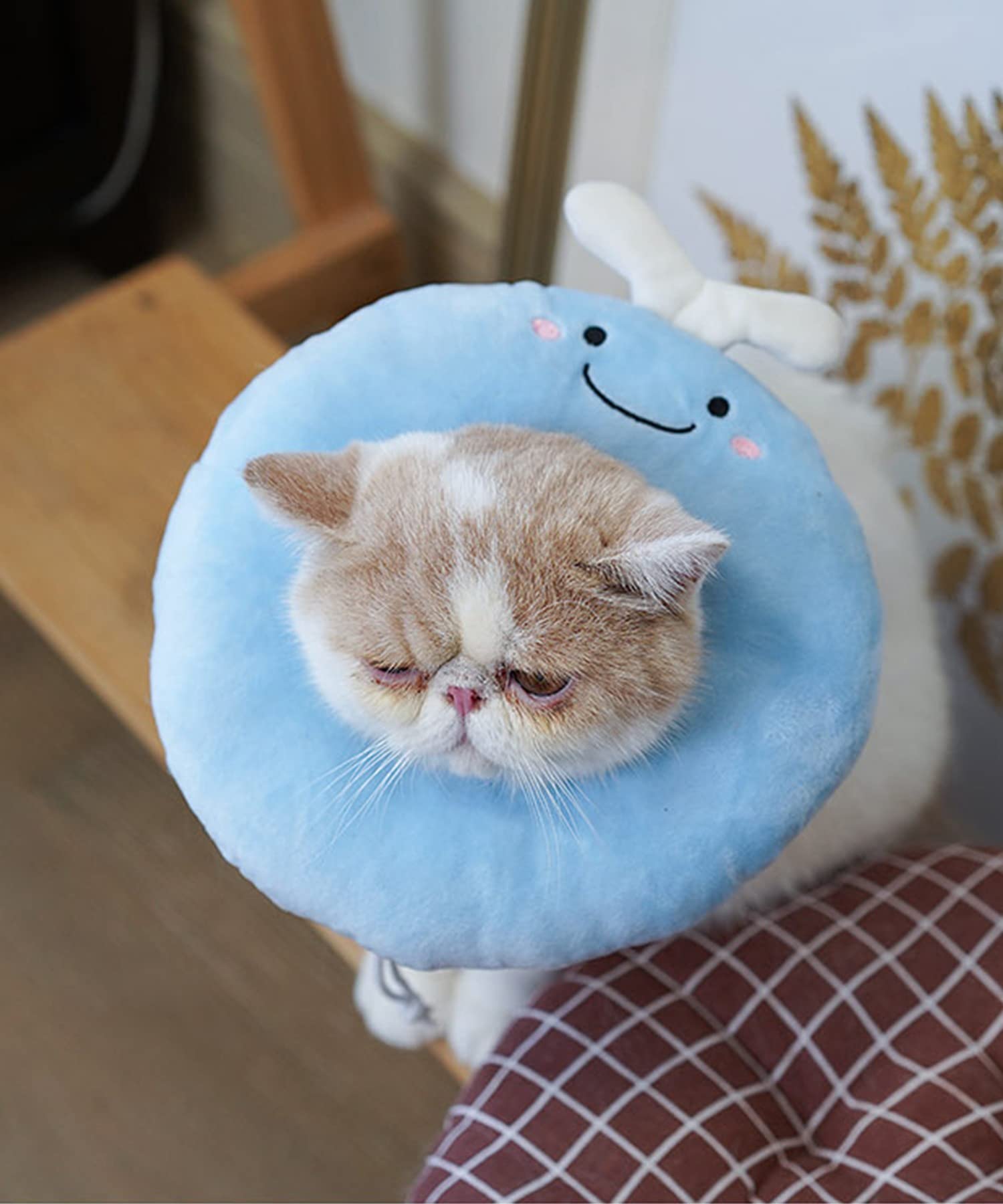 Amazon | ネコ エリザベス カラー 犬 猫 ペット ふわふわ 柔らか