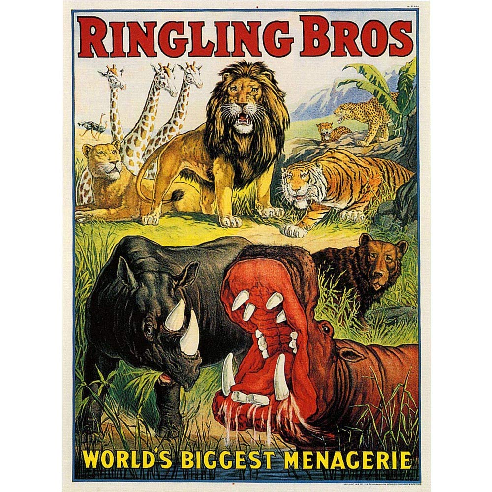 Wee Blue Coo Advert Circus Ringling Bros Lion Hippo Rhino Menagerie USA Art Print Poster Wall Decor 12X16 Inch