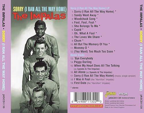 Miniatura 2 de Lo siento, corrí todo el camino a casa