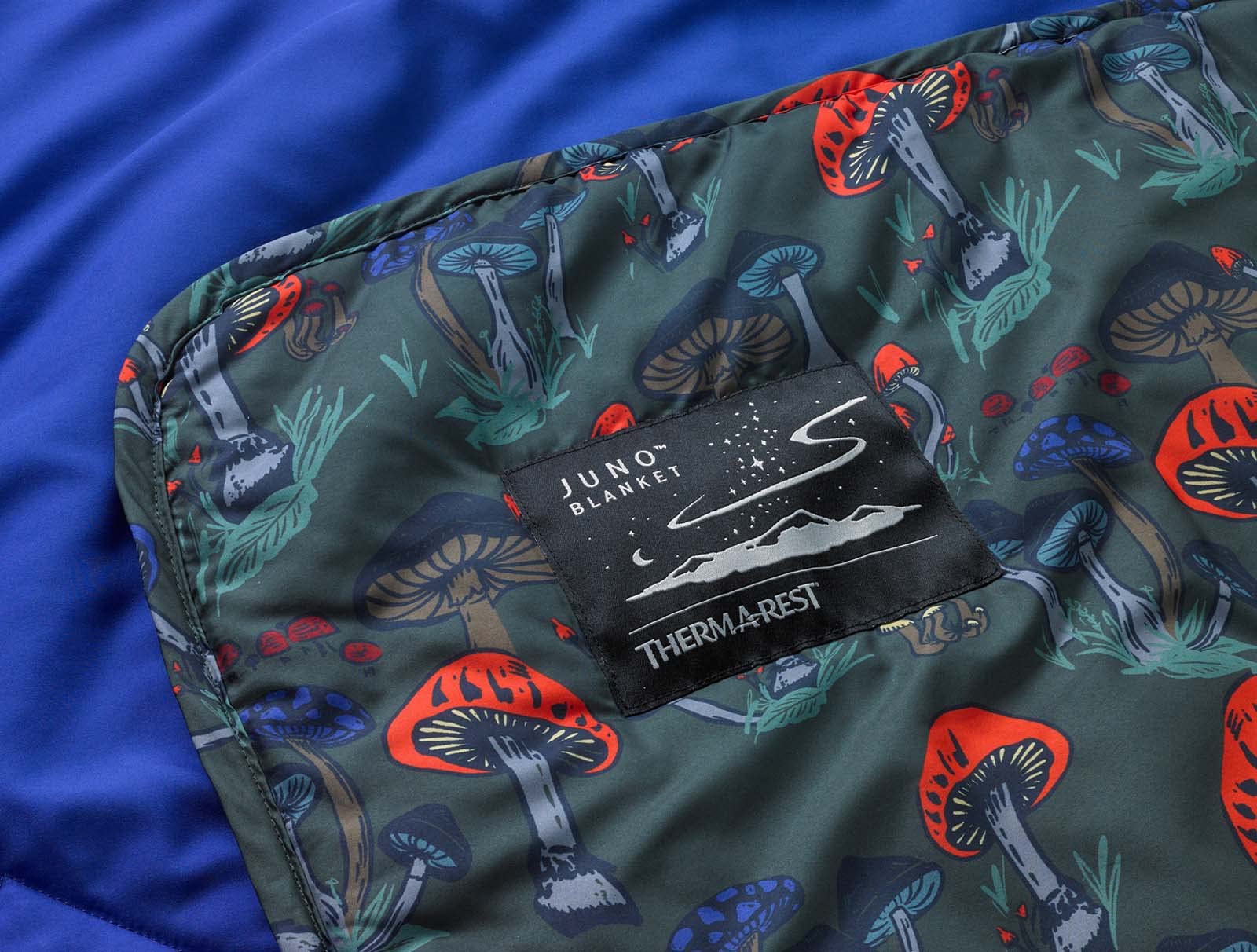 Amazon.co.jp: THERMAREST(サーマレスト) アウトドア キャンプ用