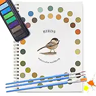 Dancart Watercolor Kit with Outlines, 12 Colors Rustproof Box, 3 Brushes & Multi-Theme Painting Kit for Teens & Adults (Bird)