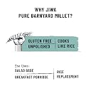 Jiwa Pure Barnyard Millet | 1 Kg | Unpolished | Cooks In 15 Minutes | Positive Millet | Sanva/Udalu/Bhagar/Kuthiraivally Seeds | Upwas, Farali, Vrat | Ancient Grain | Low GI | Gluten Free gallery image