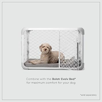 DIGGS Evolv Dog Crate - Slim, Durable Dog Kennel with Removable Ceiling Panel and Modular Design - Safe, Stylish, and Convenient (Ash, Intermediate)
