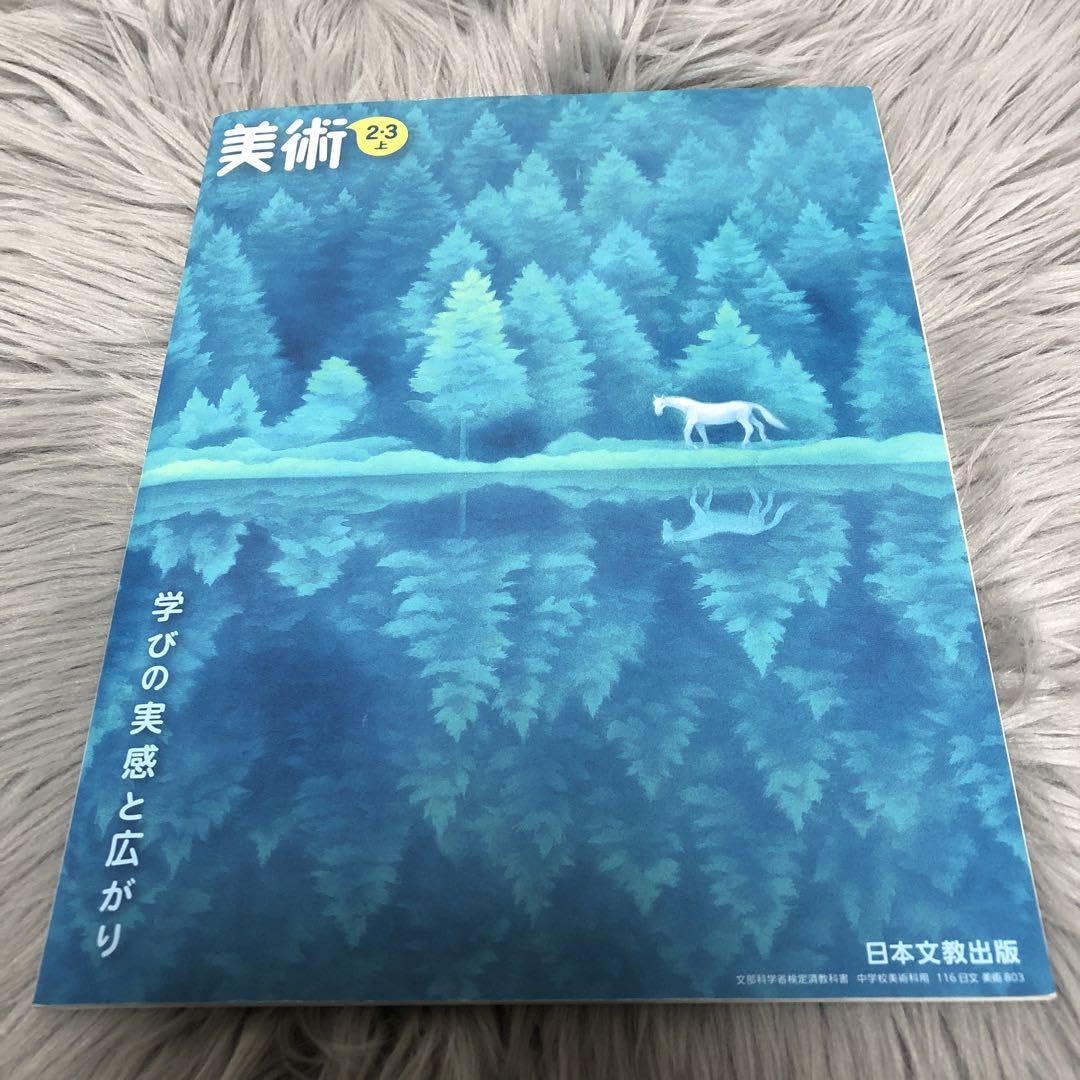 美術2．3 テキスト（テキスト） 91N3EAnu+RS._UF350,350_QL50_.jpg