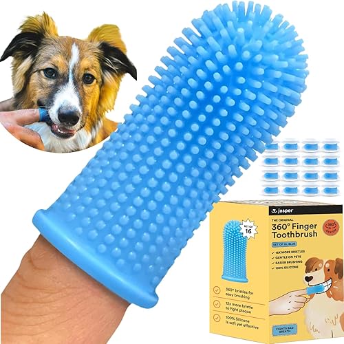 Miniatura 10 de Jasper Kit de cepillo de dientes para perros 360 paquete de 2 diseño ergonómico cerdas envolventes completas para una fácil limpieza de los dientes