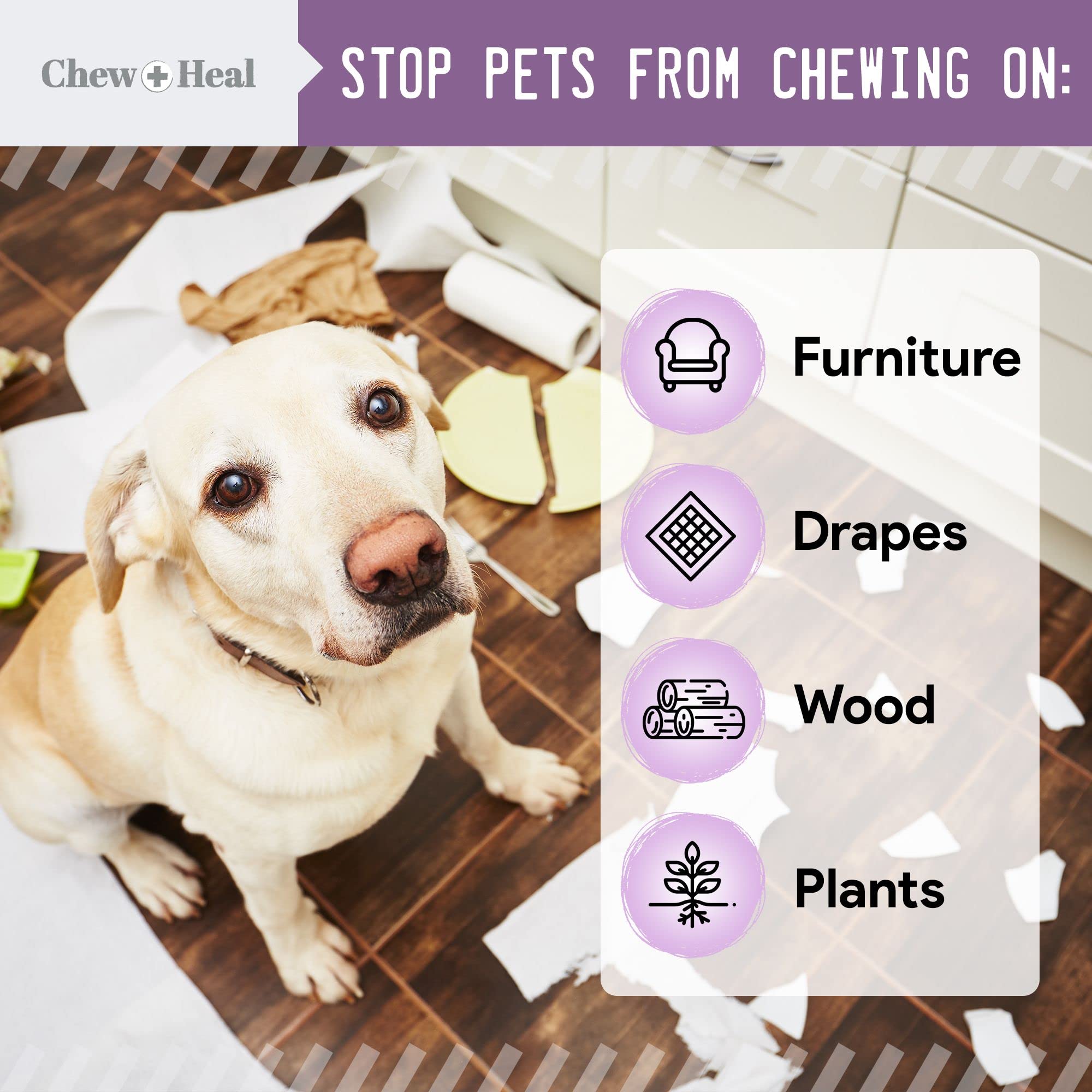 Can You Use Alcohol On Dogs