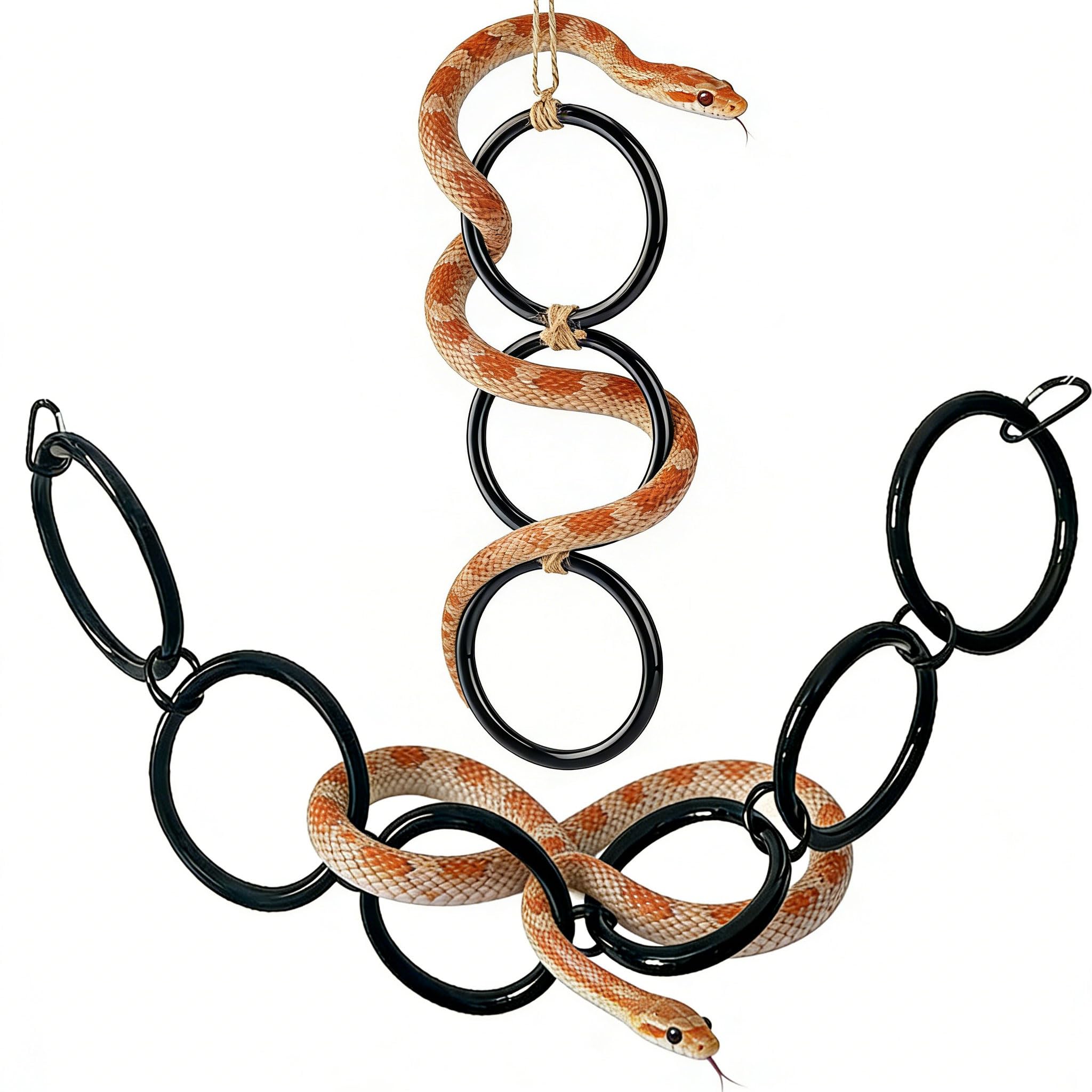 Schlangen Kletter Ringe für Ball Python und Corn Snake Reptilien Beschäftigungs Spielzeug für Schlangen Ball Python Terrarium Dekoration Reptilien Terrarium Zubehör Bearded