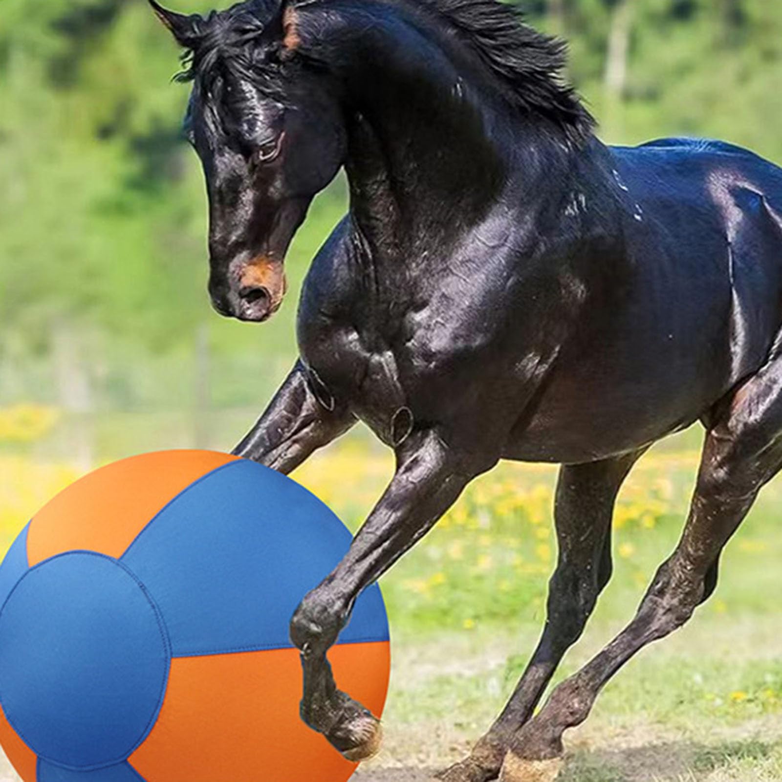 Balle gonflable pour chien - Convient pour les jeux en plein air - Balle gonflable de grande taille pour l'exercice et le divertissement