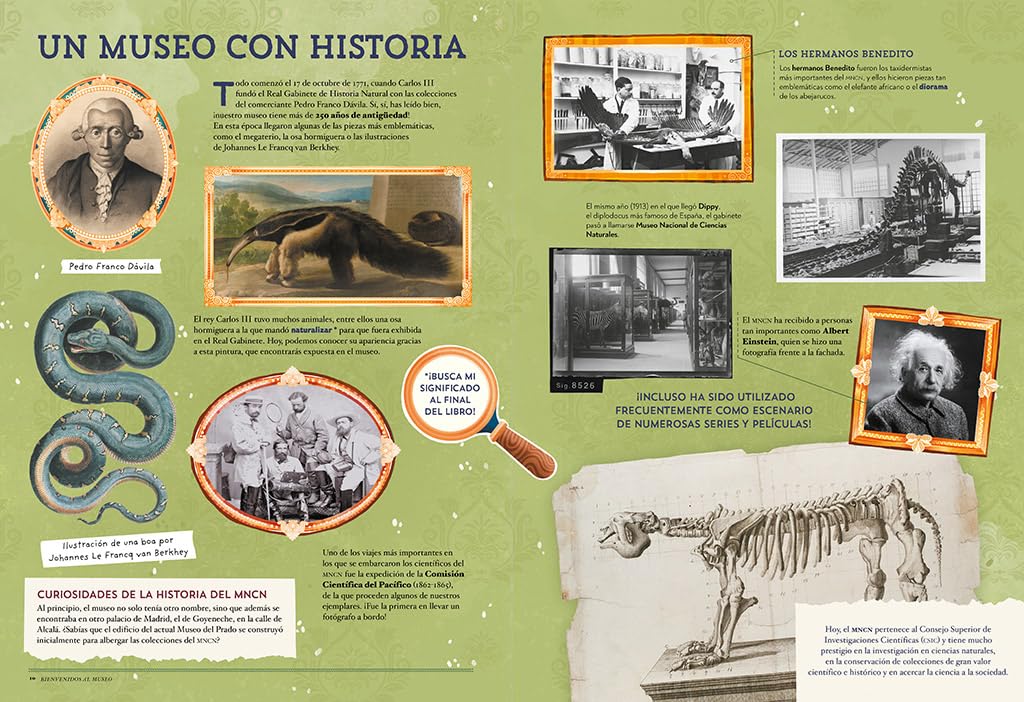 Animales asombrosos: Un recorrido fascinante por la biodiversidad (B Plus)