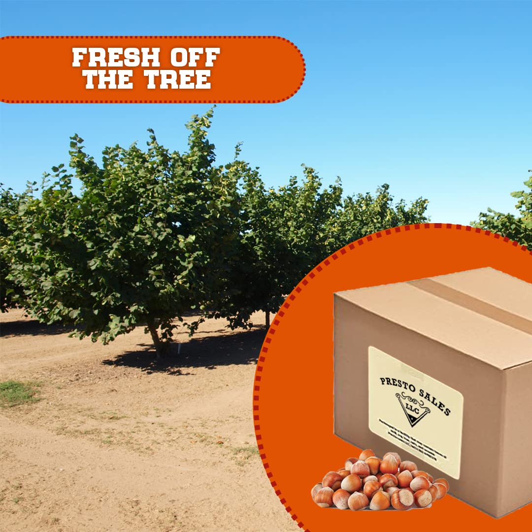 Presto Sales Filberts Hazelnuts Fresh off the tree Raw In Shell, Oregon, USA, fun to crack - 160 oz. (10 lbs.) Convenient Bag in a Box