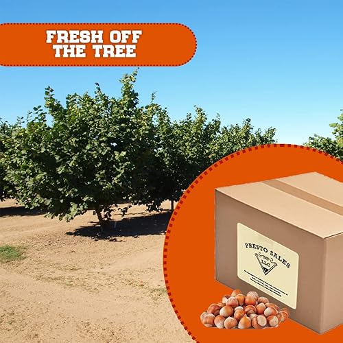 Vista 4 de Presto Sales Filberts Avellanas frescas del árbol crudas en cáscara, Oregon, Estados Unidos, divertido de romper – 160 oz (10 libras) Bolsa práctica