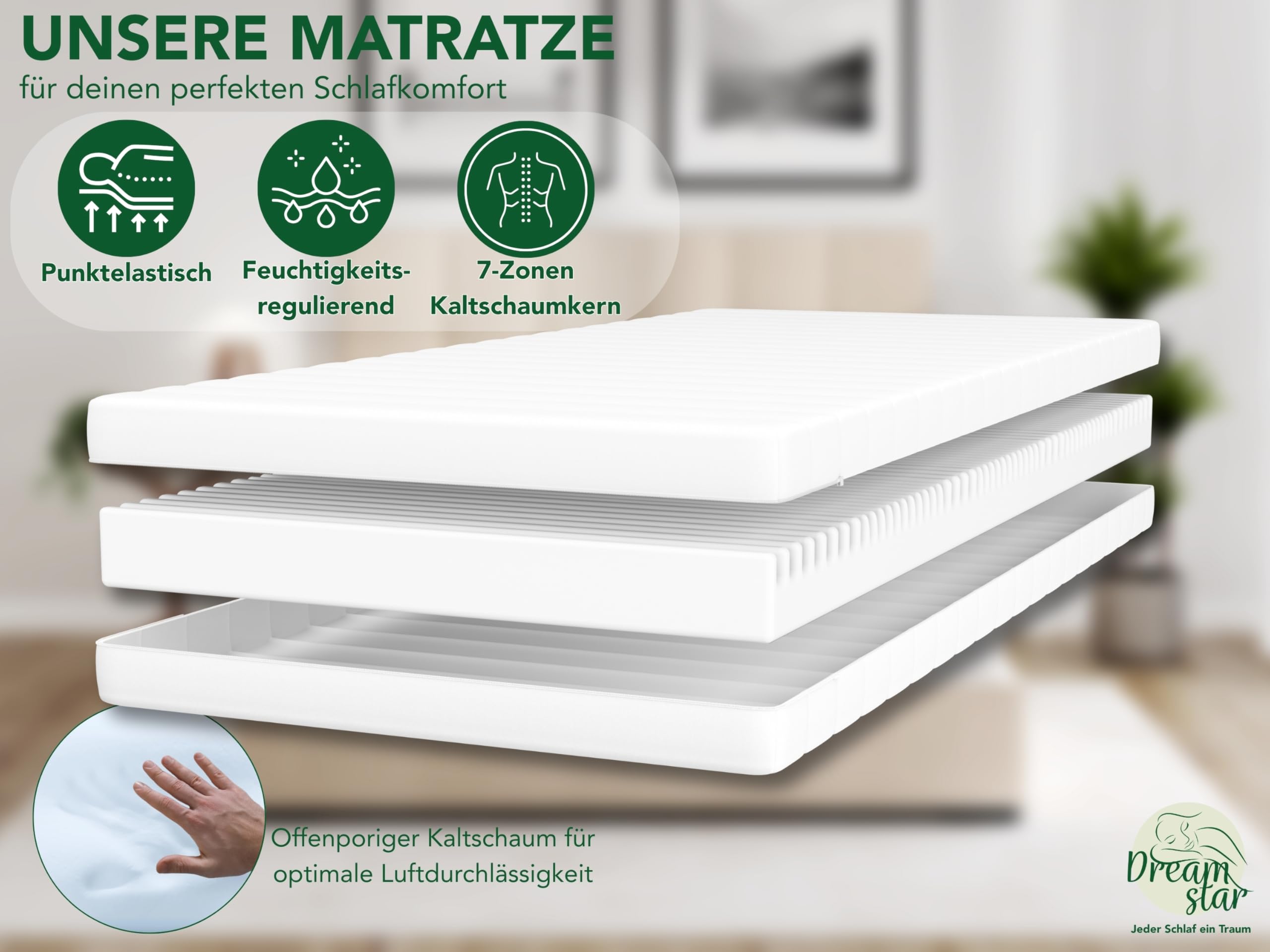 DREAMSTAR Easy Flex 7-Zonen Matratze 80x200 cm | H2&H3 | Ergonomische Kaltschaummatratze | Hypoallergen & Antibakteriell | Bezug abnehmbar & waschbar | Oeko-TEX® | (11cm, 80 x 200 cm)