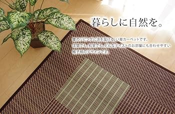 Amazon｜イケヒコ ラグ カーペット い草 畳 ござ 正方形ラグ F