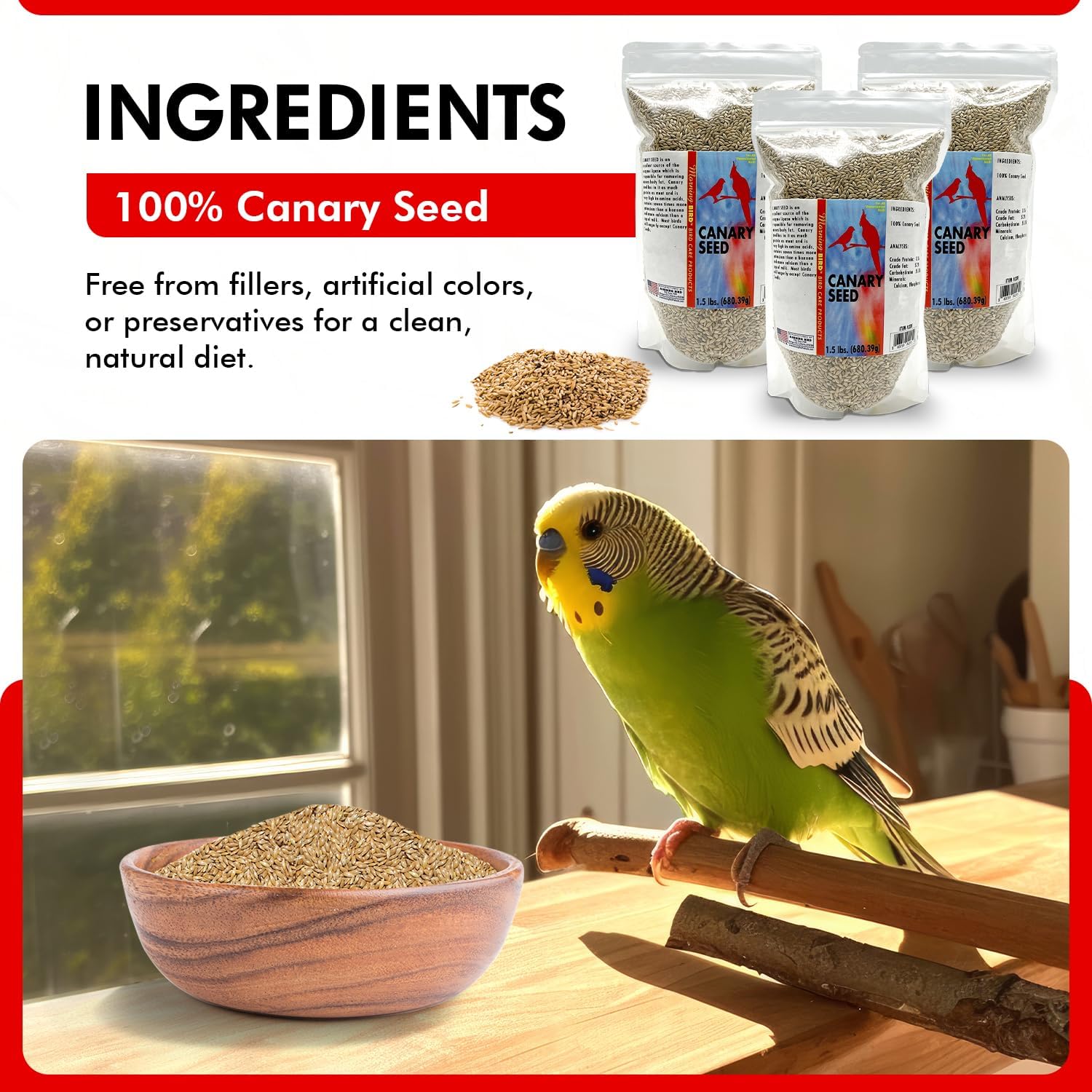 Morning Bird Canary Seed 4.5 lbs (3-Pack, 1.5 lbs Each), Nutrient-Rich Bird Seed, Creamy Golden Grain Powerhouse - Supports Healthy Feathers & Strong Bones – Natural Daily Nutrition for All Bird Types