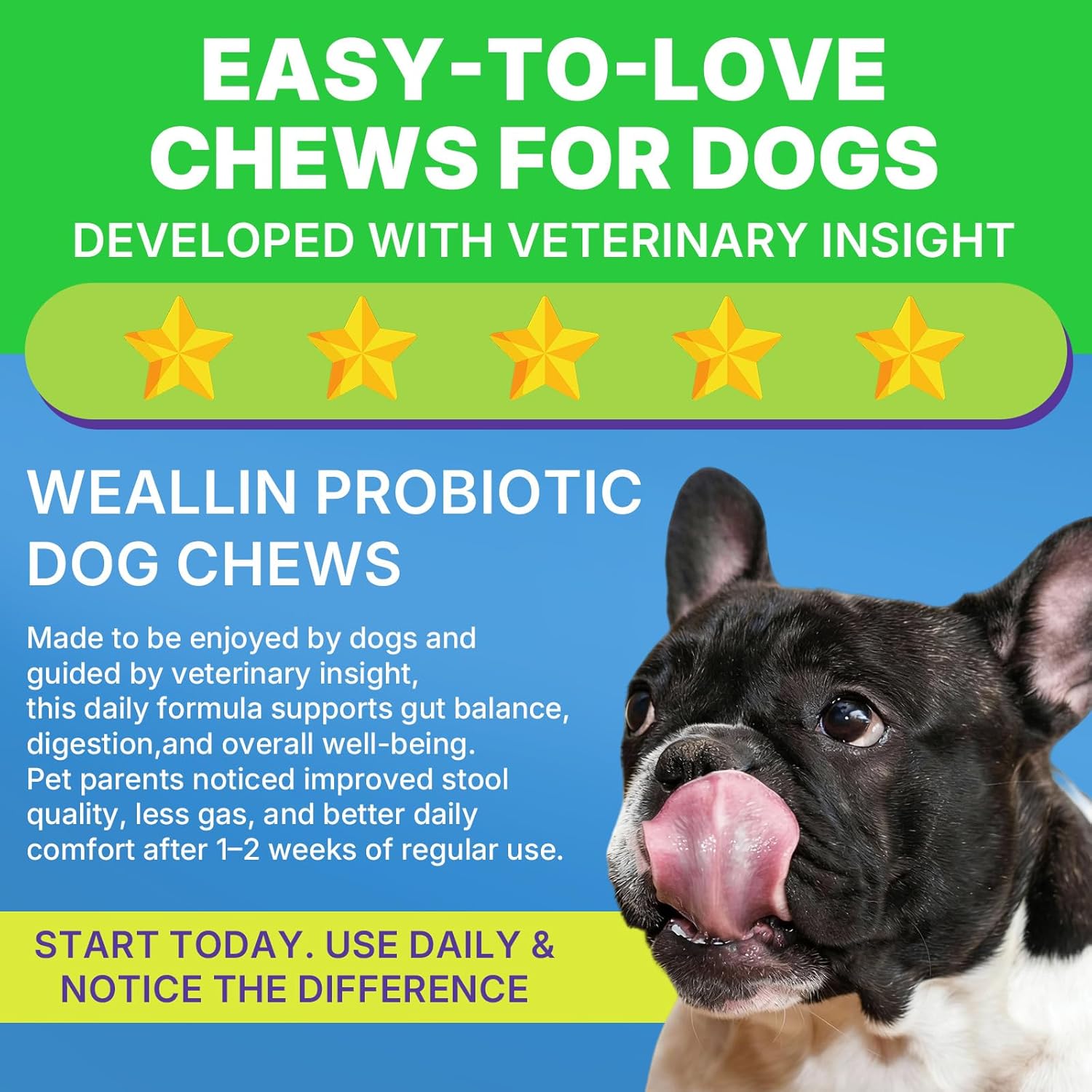 200 PCS Probiotics for Dogs - Dog Probiotic Chews for Gut Health, Digestive Support & Itchy Skin Relief Pet Diarrhea Gas Treatment - Probiotics, Digestive Enzymes, Prebiotics, Pumpkin - Image 6