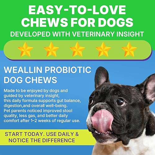 Miniatura 6 de 200 PCS Probióticos para Perros - Masticables Probióticos para Perros para la Salud Intestinal, Apoyo Digestivo y Alivio de Picazón en la Piel,