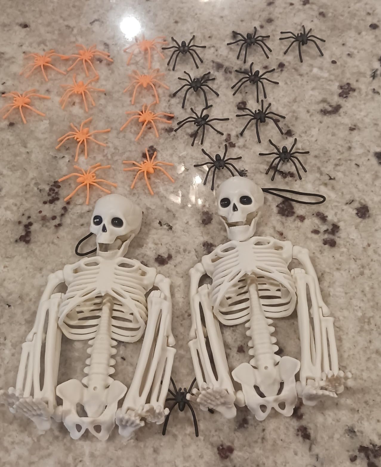Halloween Skeleton - Image 8