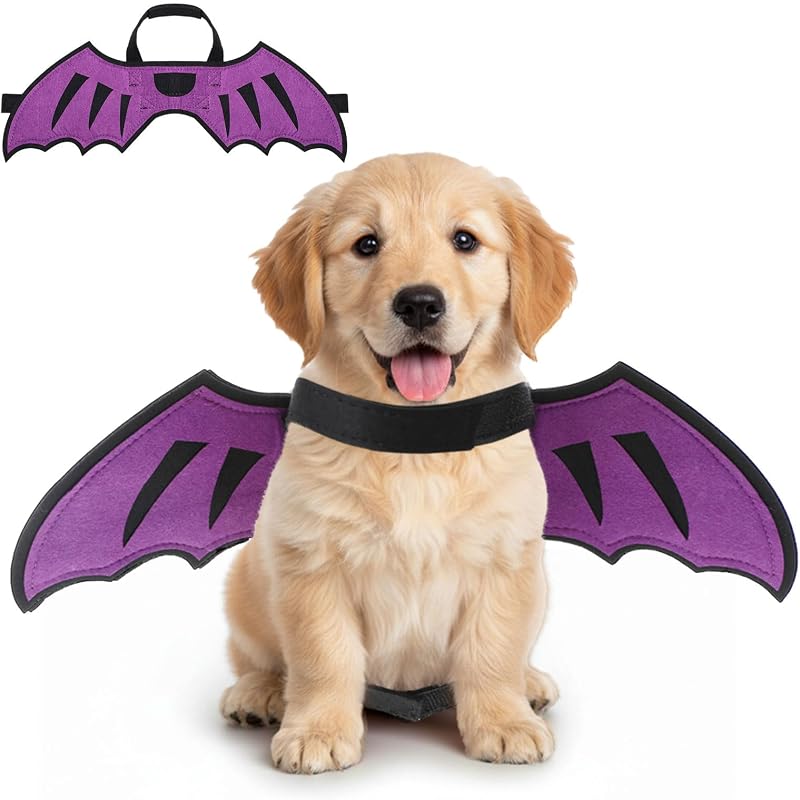Asas de Dragão para Cães e Gatos, Fantasia de Halloween em Feltro Roxo SilTriangle, Tamanho S