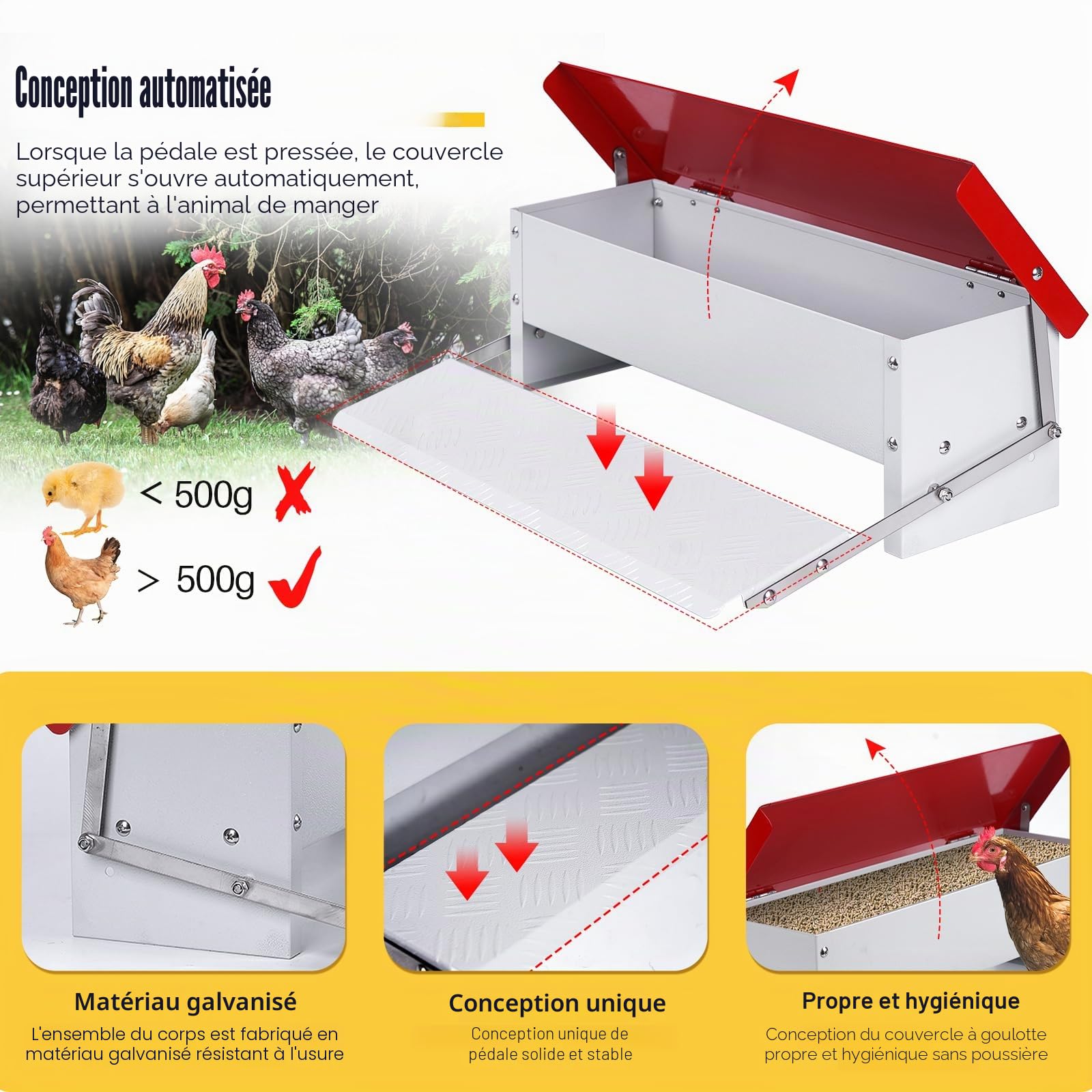 Mangeoire Poule Automatique,Mangeoire Galvanisée Pouvant Contenir 5 Kg de Nourriture,Distributeurs de Nourriture,Pour Poulets, Dindes, Oies et Canards