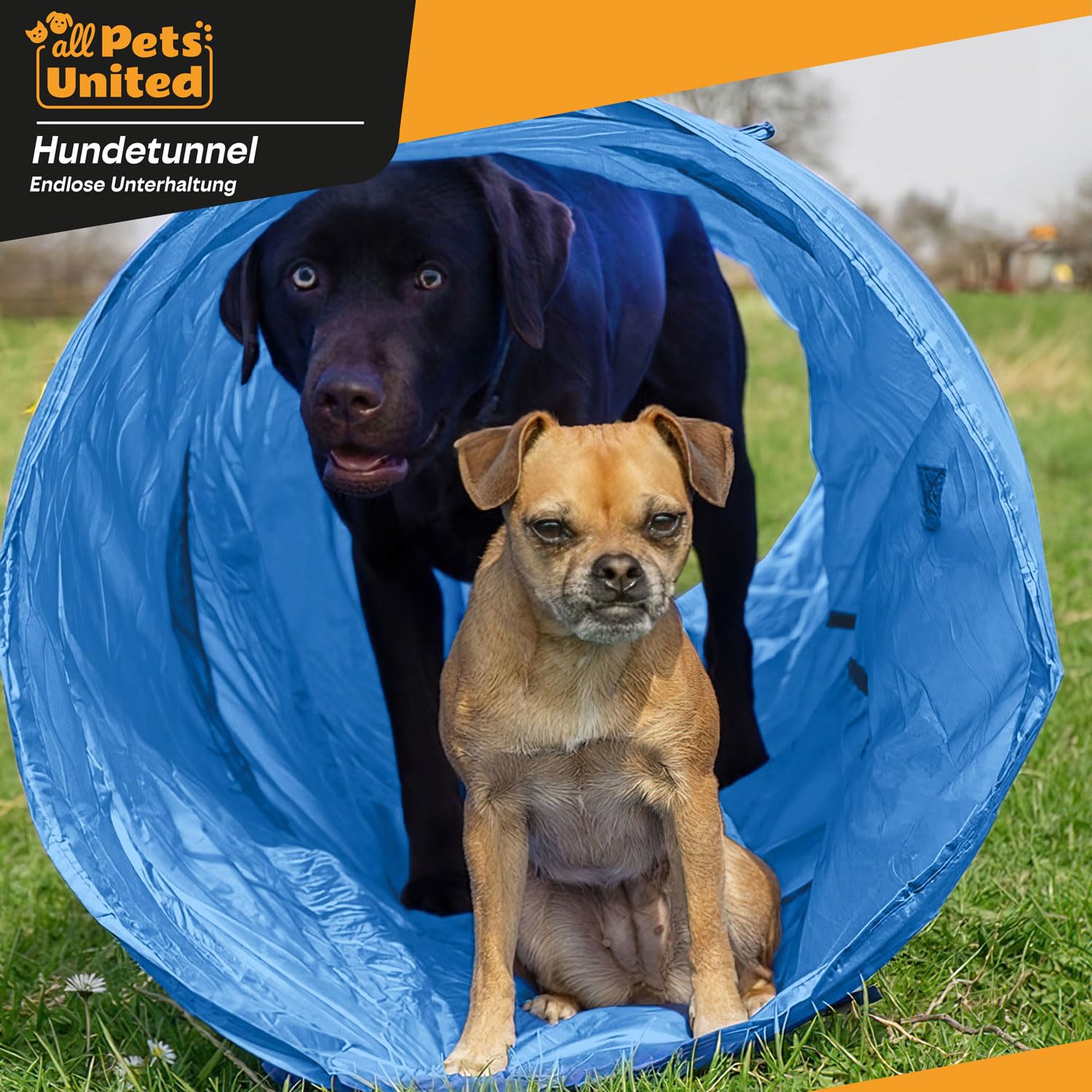 Tunnel d'agilité pour Chien - Tunnel de Jeu pour Chien Tunnel d'agilité Grotte pour Chien INCL. patères et Sac de Transport (500 cm)